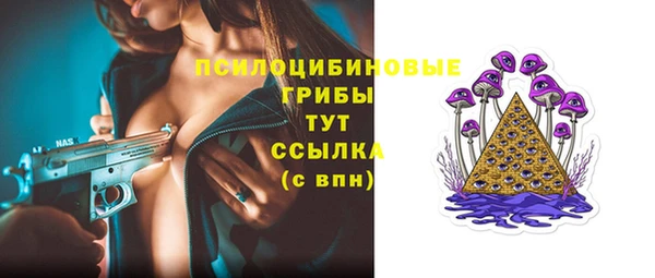 прущая мука Елабуга