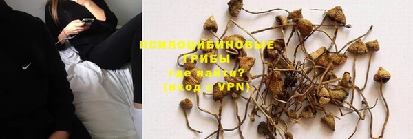 прущая мука Елабуга