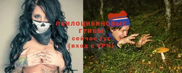 эйфоретик Елизово