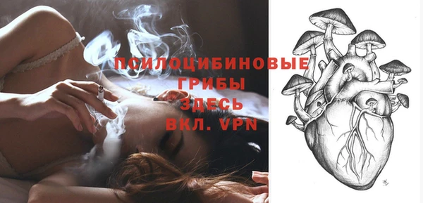 эйфоретик Елизово